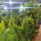 مشاتل بهجه كل مايخص المزرعه والحديقه مع الغرس والتمديد