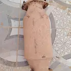 دبة تلوث فتك