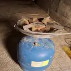 بريموس دافور