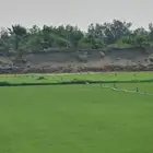 ثيل طبعي