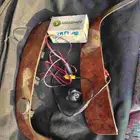 اغراض كامري