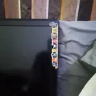 شاشا شقالا.