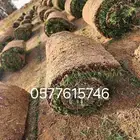 ثيل طبيعي درجه اولى