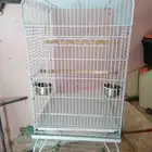 قفص كبير للطيور