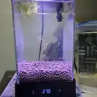 حوض فايتر ديجتال مع ذكر فايتر