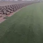 يوجدلديناجميع انواع الثيل الطبيعي الممتاز