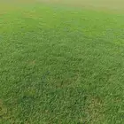 عملائناالكرم يوجدلديناجميع انواع الثيل الطبيعي الممتاز