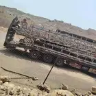 لوبد متواجد في جيزان الظبيه صبياء علا اي اتجاه