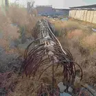 النوع   حديد بيوت محمية ( زراعية )