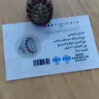 خواتم فضه بشهاده معتمده على السوم