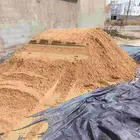 شعيب دراجة اول