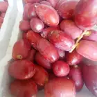 تمر حلوه مناصيف طيب سكر