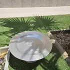 صينيه عدن