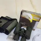 دربيل التاج الأصلي ياباني