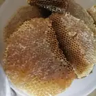 عسل طلح مختوم للبيع
