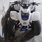 دباب رام للبيع