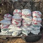 تمر علف حلال 51 كيس