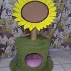 بيت للقطط