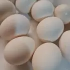 بيض بلدي