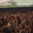 دجاج بلدي