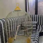 قفص طيور مع استاند