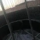 شغل حازانت ديرى