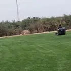ثيل طبيعي سي2000 صافي درجه أولى