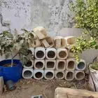 جراكل محاكر