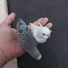 فروخ بادجي