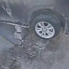 شفر كروز 2016