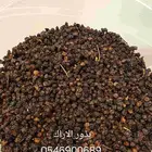 بذور اشجار برية البيع بالكيلو