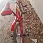 سيكل جديد كوبرا بيشه الباقره