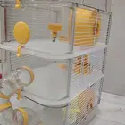 قفص هامستر كبير جدا من زولكس مع كيس نشاره