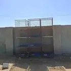Pigeon Cages