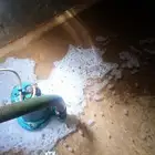 شركة تنظيف وتعقيم الخزانات بالطائف