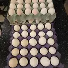 بيض بلدي خال من الهرمونات اكل صحي لايفوتك