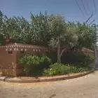 زرعت خبيز اساحلي وزيتون