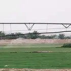 ثيل طبيعي درجة أولى سي2000 صافي ونقي