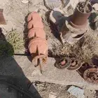 عدة وادوات زراعيه ابار سطحية