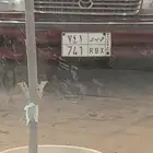 لوحه مميزه للبيع