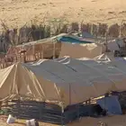 شبوك حديد بوابة شبوك ابل