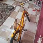 عجله كوبرا نظيف مقاس20 ضمان اسبوع