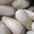 حبحب للبيع