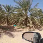 تخويض تنضيف تكريب قلاع فروخ