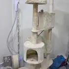 خدشة قطط للبيع