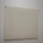 ستاره رول 30 ريال