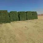برسيم صافي ناعم فل ورق
