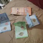 Malaysian money