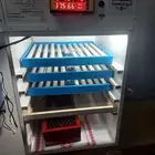 السيح طريق قطر