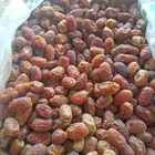 تمر للبيع منيفي ونبته علي